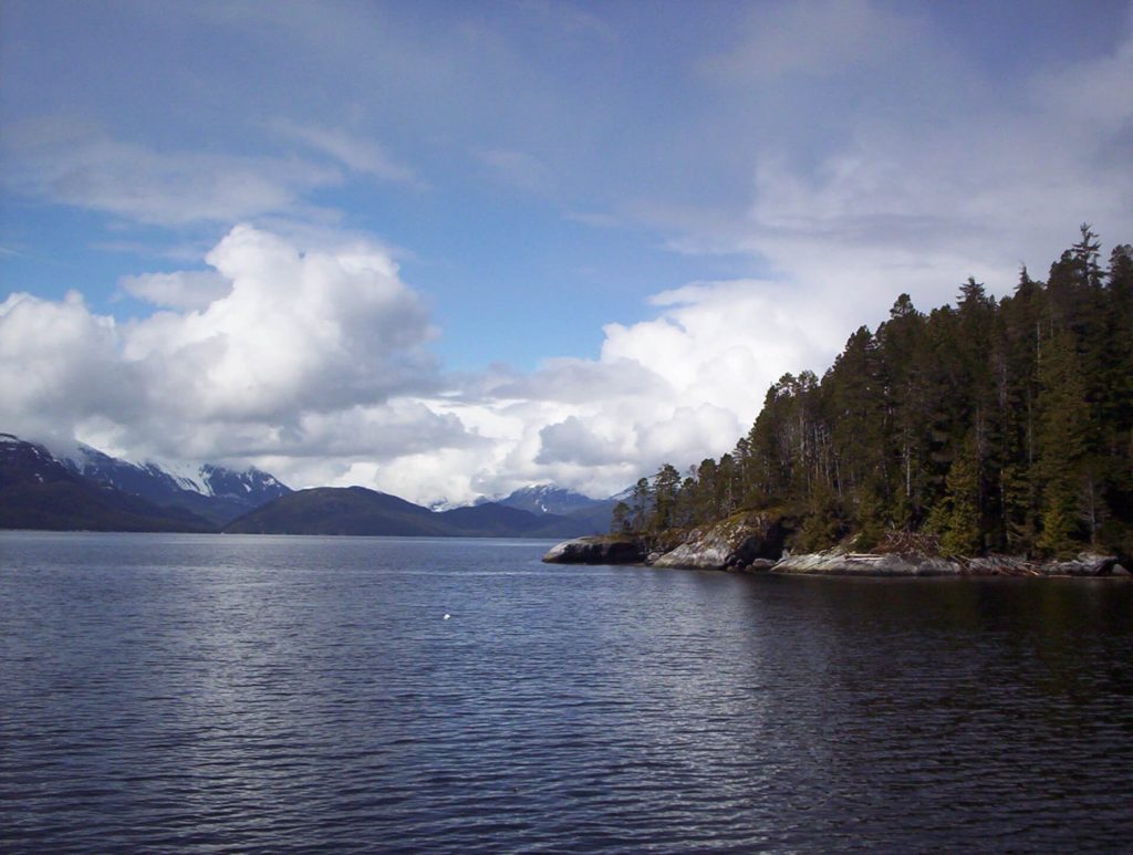 Forest and Lake, Tyhee Forestry, Smithers BC